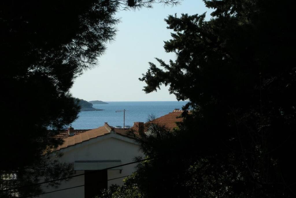 Whole Villa In Primošten Exteriör bild